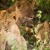 African Photographic Safari
