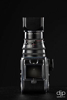 DJP_6312.jpg